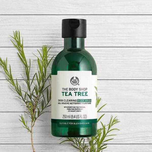 The Body Shop Tea Tree Skin Clearing Mattifying Toner(250ml)